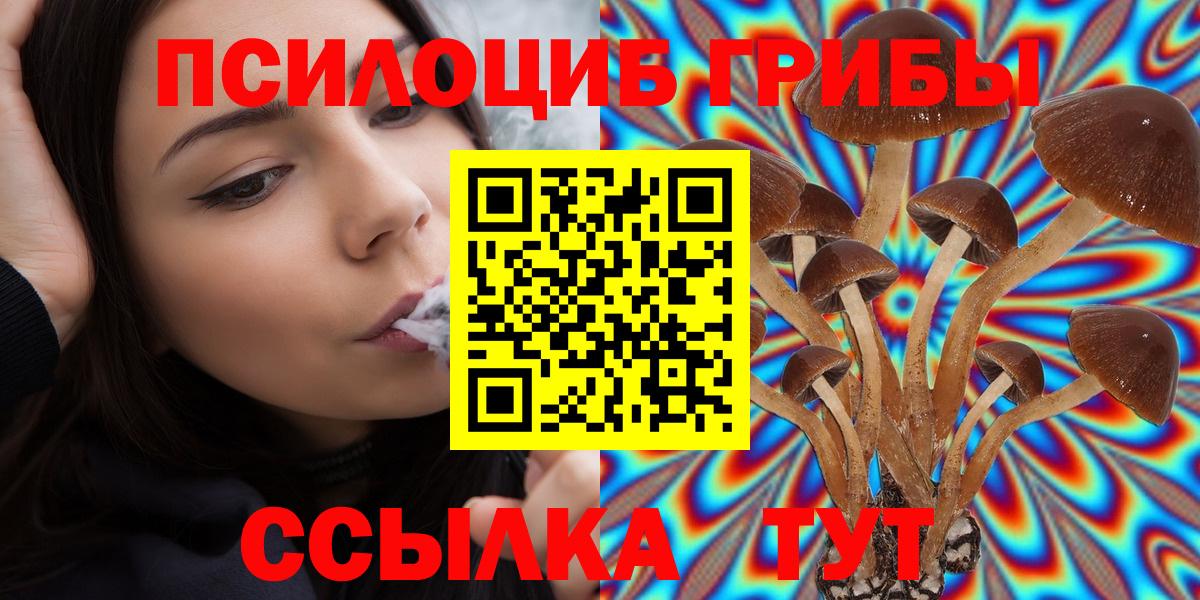 Псилоцибиновые грибы Psilocybe  Псилоцибиновые грибы GOLDEN TEACHER  Вход с VPN  Кушва 