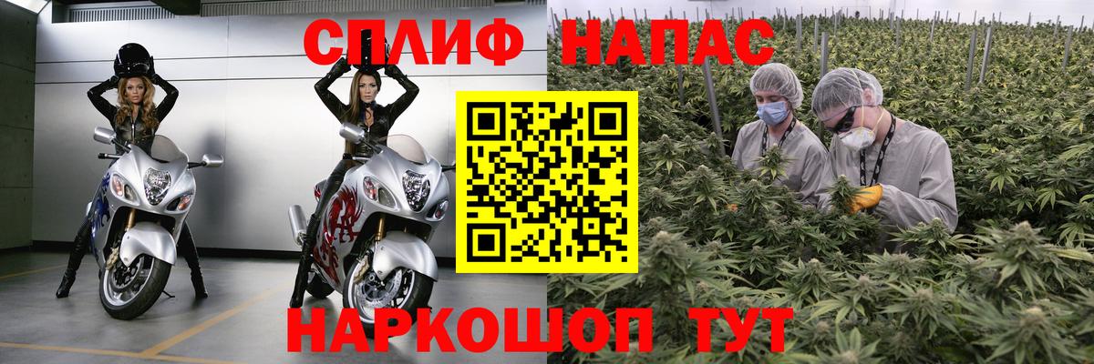 Канабис марихуана Кушва